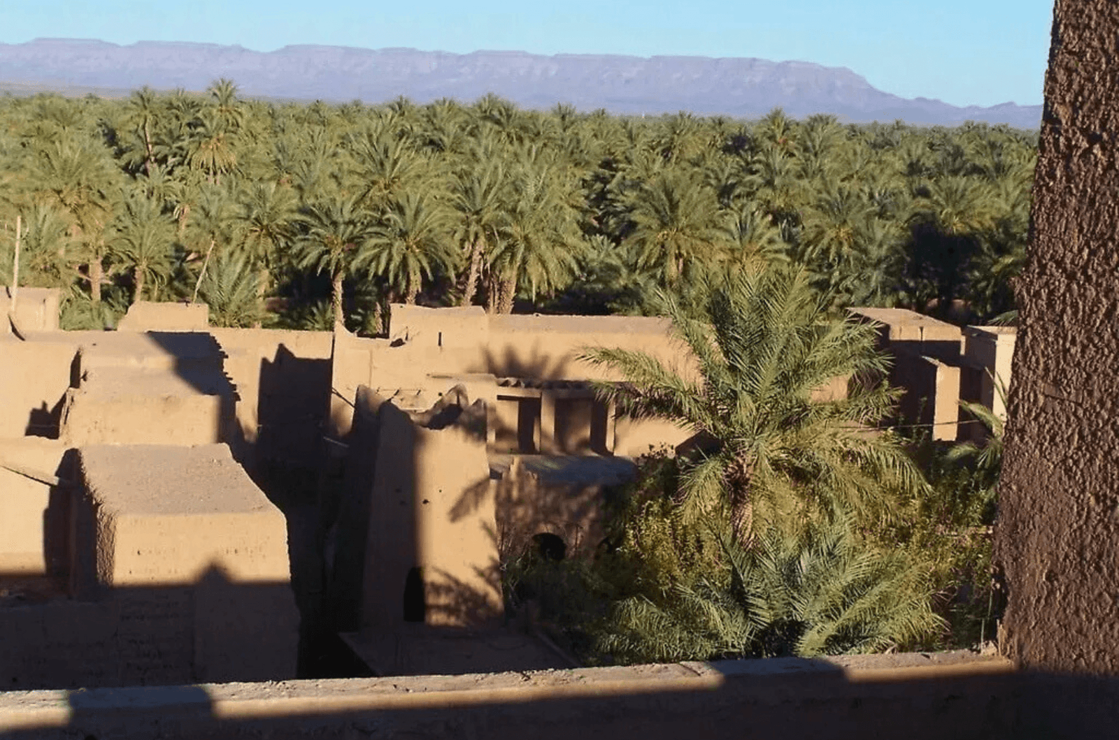 Kasbah Ziwana – Cultural Retreat in the Draa Valley 2(1)
