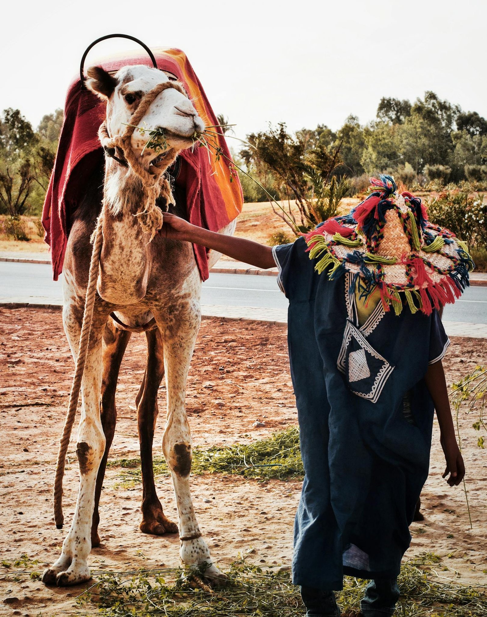 A vibrant depiction of Moroccan culture with a camel and person in traditional attire in Marrakesh.