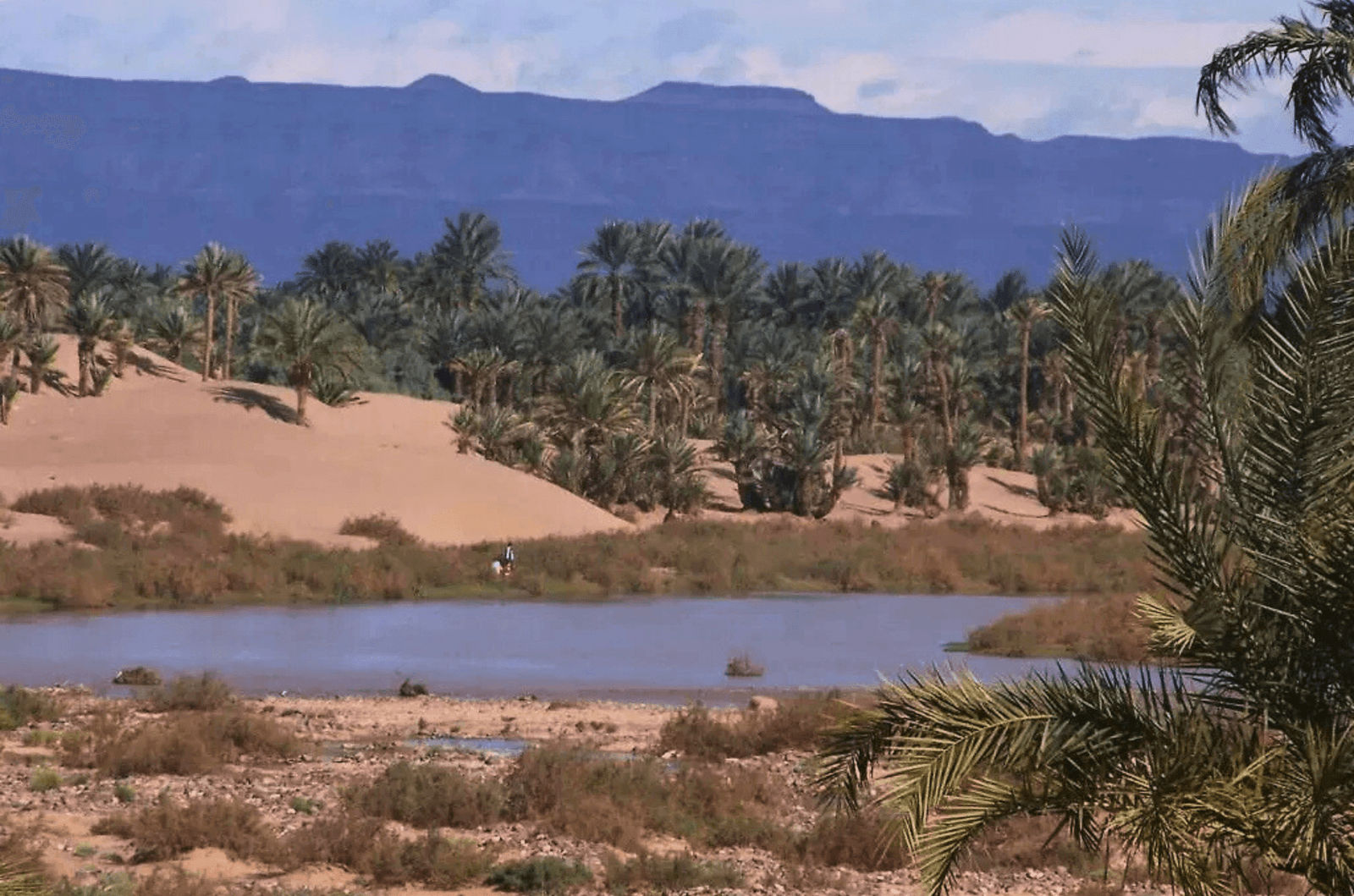 Kasbah Ziwana – Cultural Retreat in the Draa Valley - Zagora Morocco Ksar Tissergate 47900 Maroc river valey daraa(1) Kasbah Ziwana – Cultural Retreat in the Draa Valley - Zagora Morocco Ksar Tissergate 47900 Maroc river valey daraa(1)